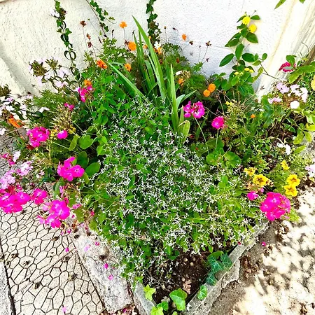 Cosy House Near Paris, Cdg Airport + Parking