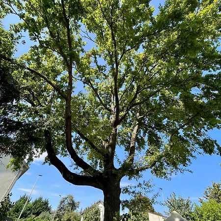 Cosy House Near Paris, Cdg Airport + Parking