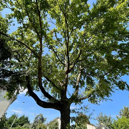 Cosy House Near Paris, Cdg Airport + Parking